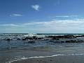 Biddeford (78)
